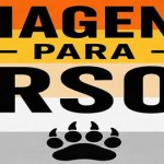 PACOTES – EVENTOS PARA URSOS